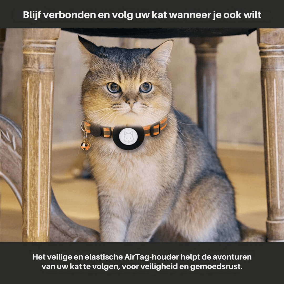 Reflective Cat Collar with GPS Tracker Holder and Safety Buckle