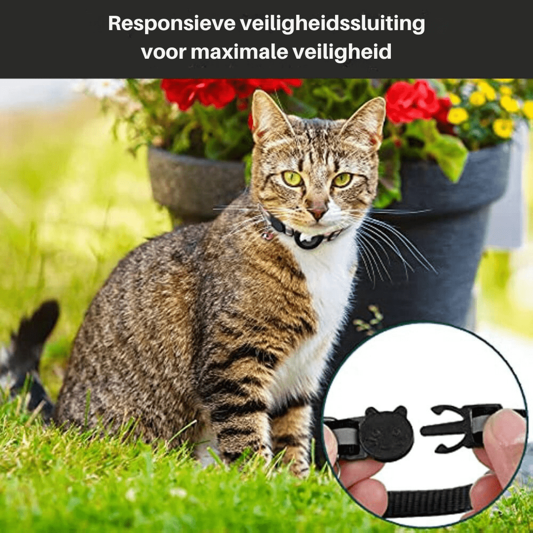 Reflective Cat Collar with GPS Tracker Holder and Safety Buckle