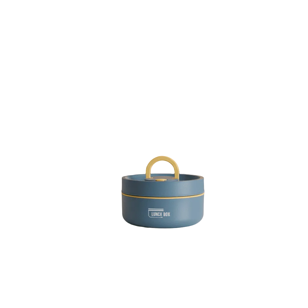 Insulated Stainless Steel Lunch Box with Carry Bag for Hot Meals