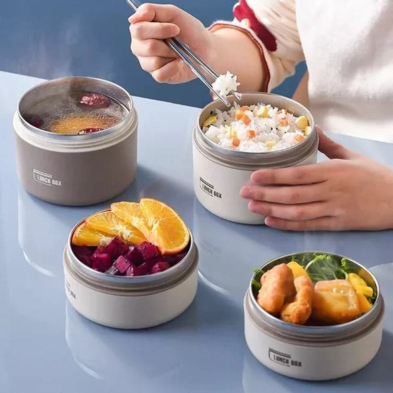 Insulated Stainless Steel Lunch Box with Carry Bag for Hot Meals